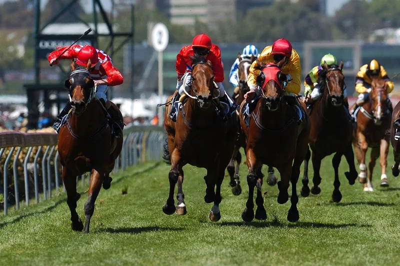 2026賽馬比賽怎麼下注?全套流程教你怎麼從賽馬比賽賺錢!